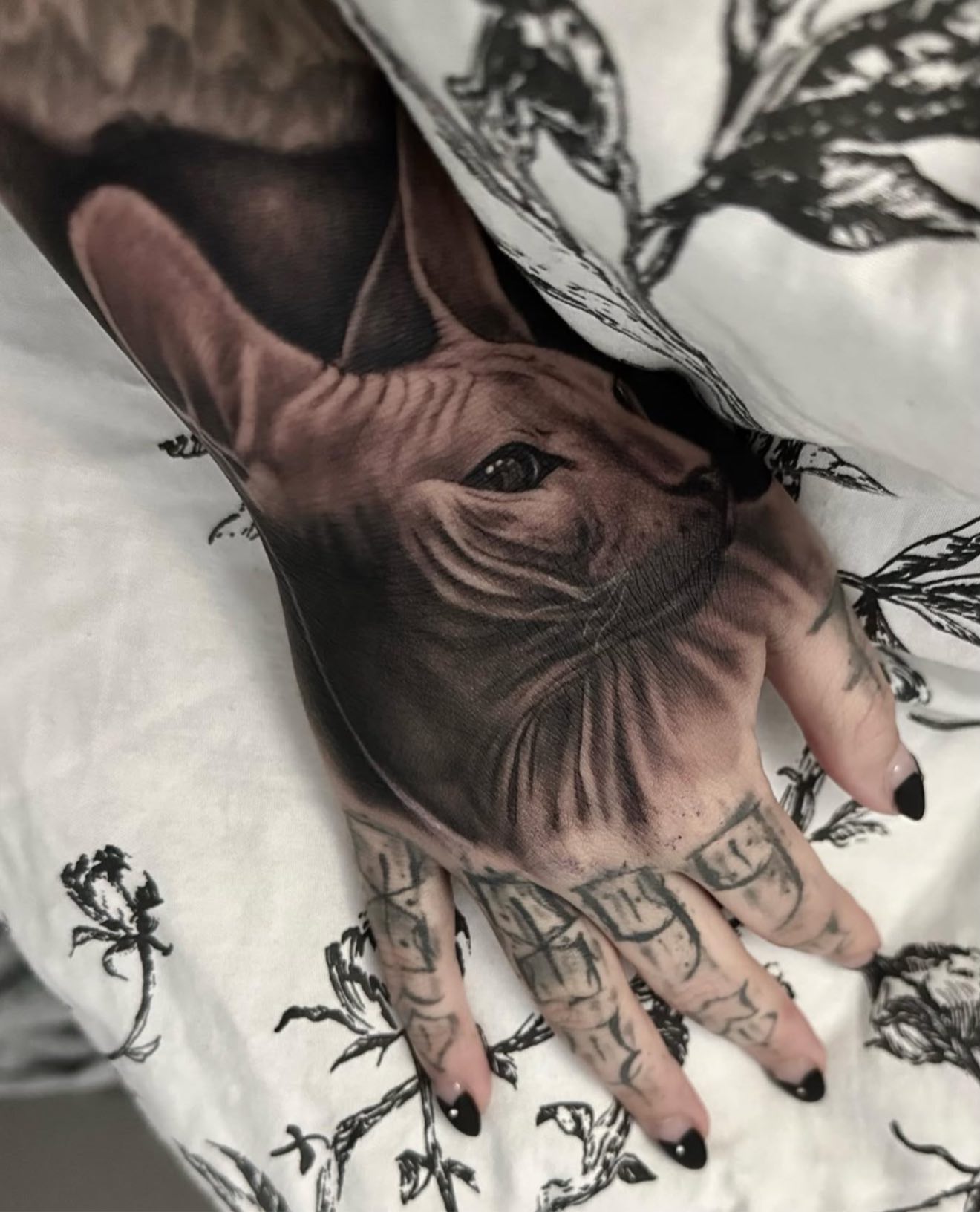 Sphynx cat hand piece